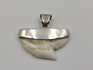 Stary srebrny damski wisiorek/zawieszka z zęba REKINA - VINTAGE biżuteria