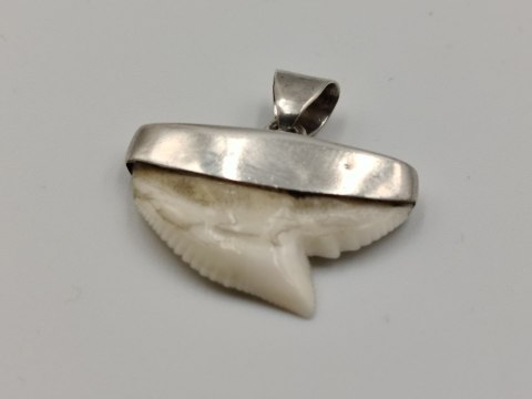 Stary srebrny damski wisiorek/zawieszka z zęba REKINA - VINTAGE biżuteria